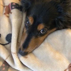 Meet your Posher, Sharon